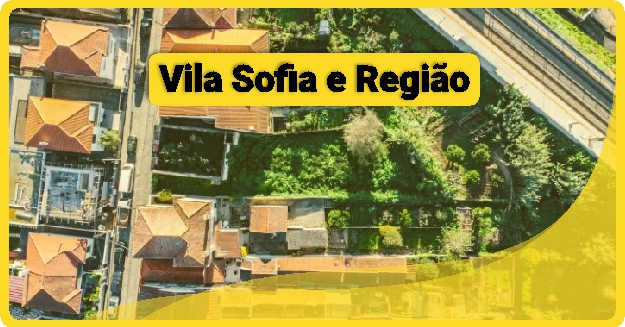 Fábrica de Caixa de Pizza em Vila Sofia