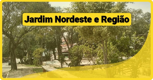 Caixa de Pizza Personalizada em Jardim Nordeste