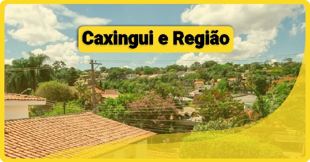 Fábrica de Caixa de Pizza em Caxingui