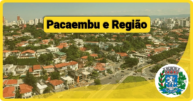 Fábrica de Embalagem de Pizza em Pacaembu