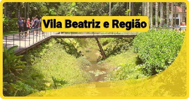 Fábrica de Embalagem de Pizza em Vila Beatriz