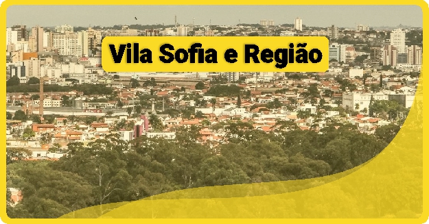 Fábrica de Embalagem de Pizza em Vila Sofia